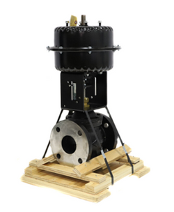 Johnson Controls VG2431TM+843E00 Valve Assembly