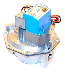 Raypak 600631 Gas Valve