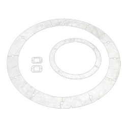 Lochinvar & A.O. Smith 100233632 Gasket Set