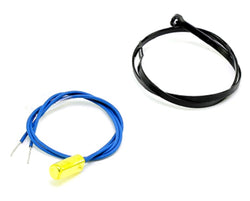 Raypak 010787F Water Sensor