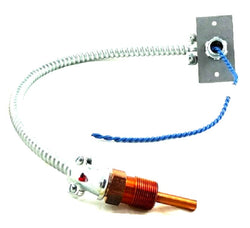 Lochinvar & A.O. Smith 100110731 Sensor Assembly