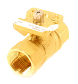 Johnson Controls VG1245BL Valve