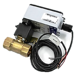 Johnson Controls VG1245CPH923AGA Valve Assembly