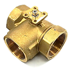 Johnson Controls VG1845FS Valve