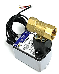 Johnson Controls VG1245CNH943GGA Valve Assembly