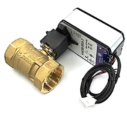 Johnson Controls VG1245FSH958BGA Valve Assembly