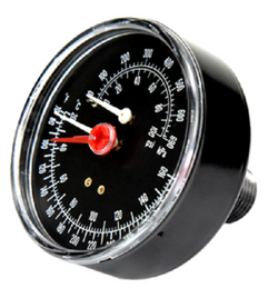 Weil McLain 510-218-099 Gauge
