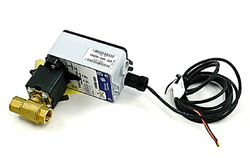 Johnson Controls VG1245AGH923GGA Valve Assembly