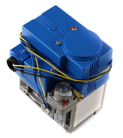 Lochinvar & A.O. Smith 100189387 Valve