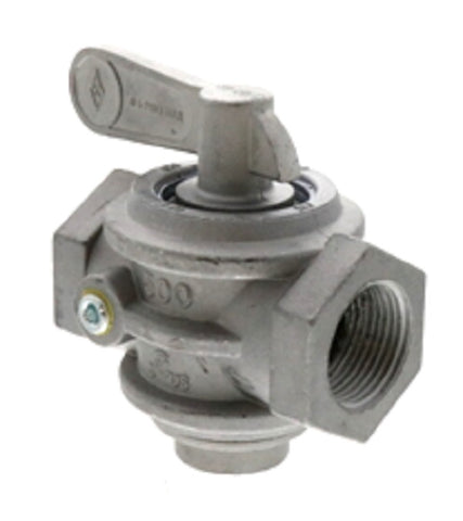 Raypak 007189F Gas Valve