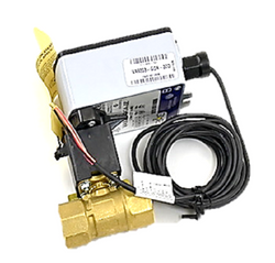 Johnson Controls VG1245CNH923GGA Valve Assembly