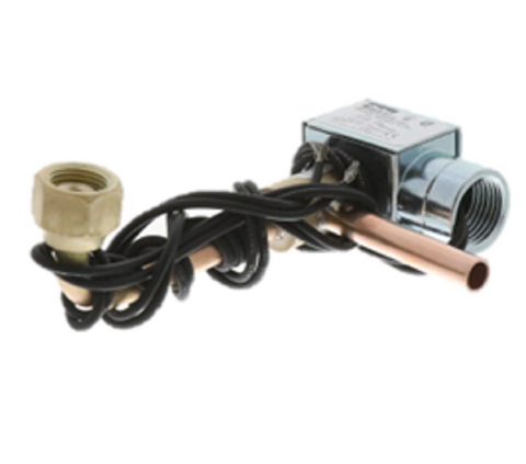 Copeland 910-0352-03 Valve & Coil