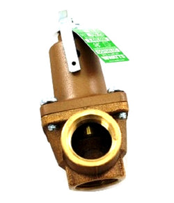 Raypak 007225F Relief Valve