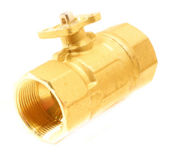 Johnson Controls VG1245EP Valve