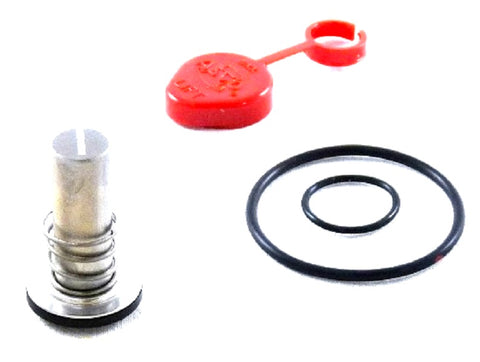 ASCO 204-205 Rebuild Kit
