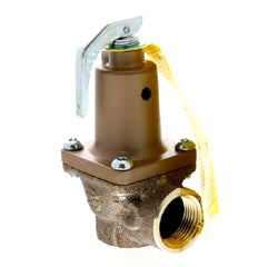 Raypak 007222F Relief Valve