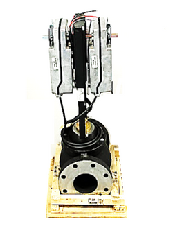 Johnson Controls VG2231VM294NGGA Valve Assembly