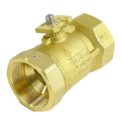 Johnson Controls VG1245FT Valve