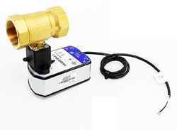 Johnson Controls VG1245FTH958BAA Valve Assembly