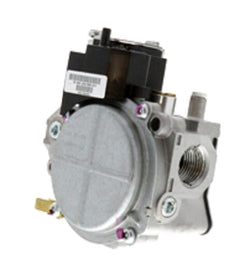 Rheem-Ruud 60-24180-81 Valve