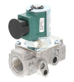 BASO H91DG-2C REVB Gas Valve