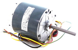 Carrier HC41GE231 Motor