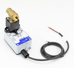 Johnson Controls VG1245AGH923BGA Valve