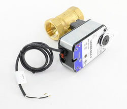 Johnson Controls VG1245FSH958BAA Valve