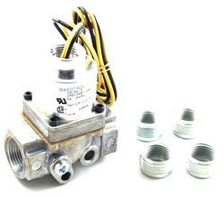 BASO H91RS-2 Gas Valve