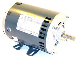 Carrier HD56FL651 Motor