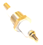 Raypak 007228F Sensor