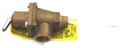 Watts 0156734 Relief Valve