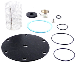 Watts 0864946 Repair Kit