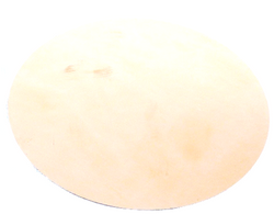 Watts 1020107 Diaphragm
