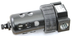 Watts F602-042A Micron Filter